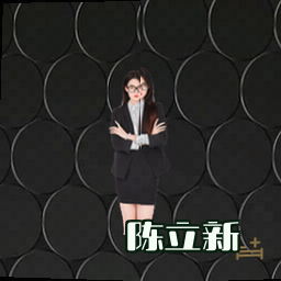 陈立新